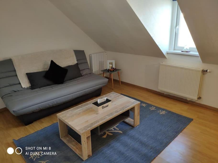 Joli Appartement Avec Place De Parking Prive Colmar Exterior photo